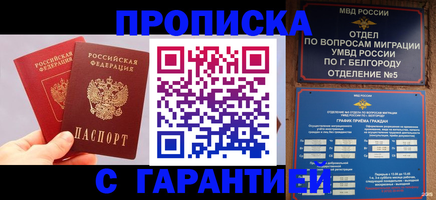 прописка 2025 в Лукоянове